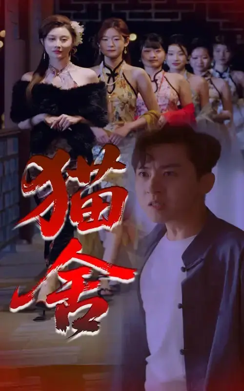 《猫舍》：窥探欲望深渊，悬疑迷局下的秘密与救赎