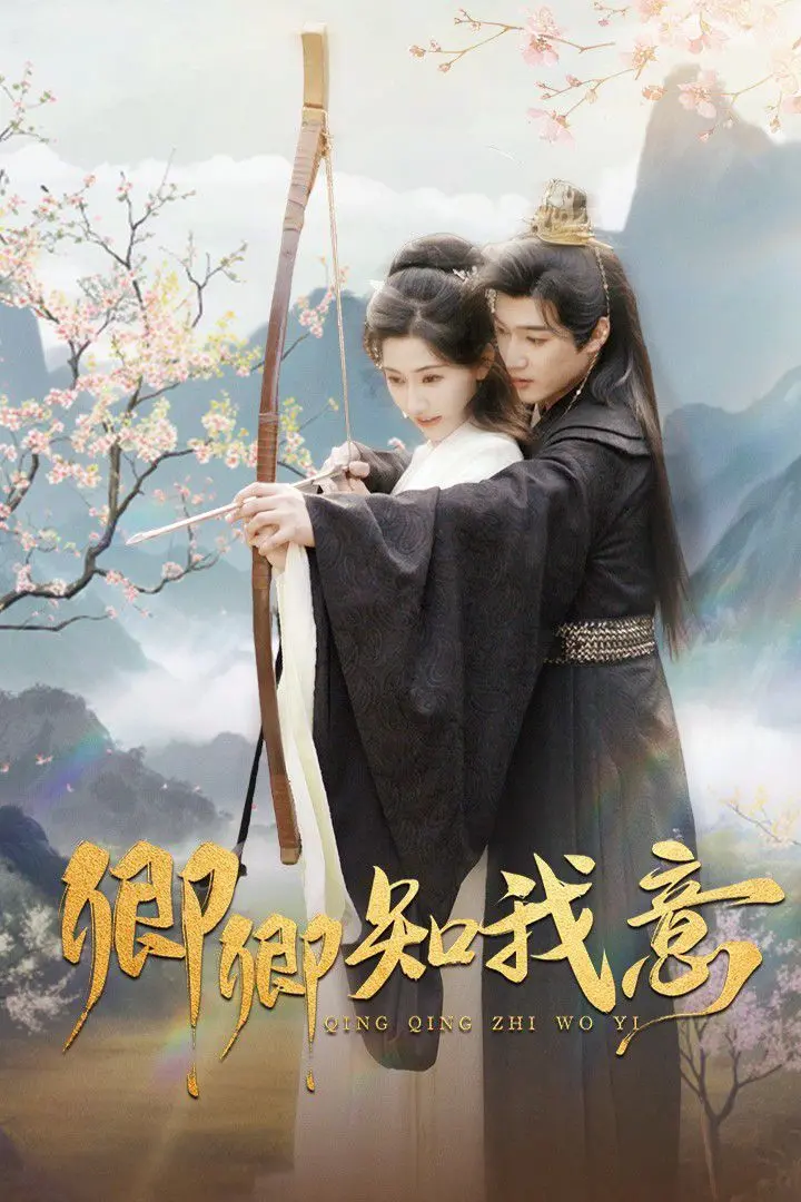 《卿卿知我意》：古装甜宠爱情，穿越时空的真挚情感