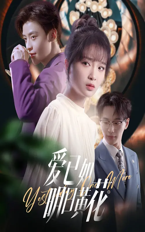 《爱已如明日黄花》：错过与重逢，一场关于爱的命运轮回