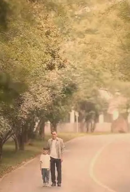 《不装了我是你惹不起的存在》：年度最爽反套路剧！看废柴逆袭，霸气女主打脸全场！