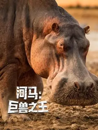 《河马：巨兽之王》：深入非洲腹地，揭秘淡水巨兽的生存法则与霸主地位
