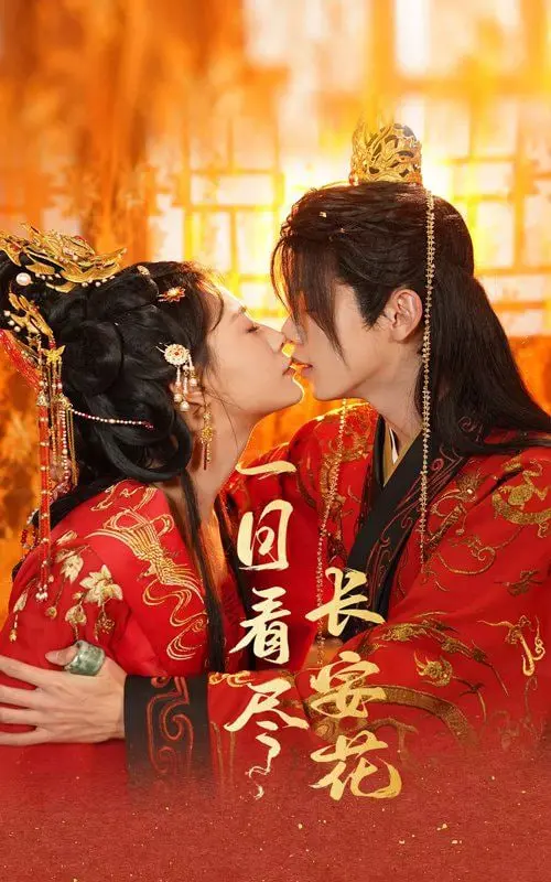 《一日看尽长安花》：千年帝都风华，穿越时空的光影叙事